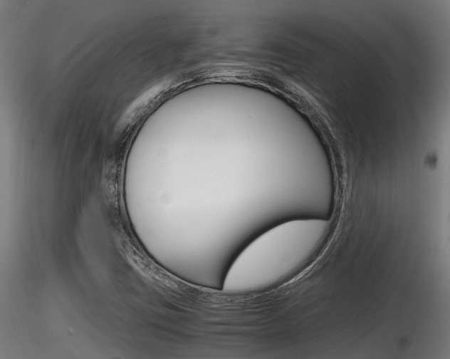 X0000116461403200912090916