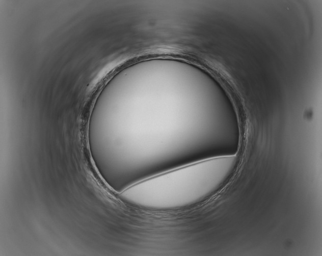 X0000116461404200912090916