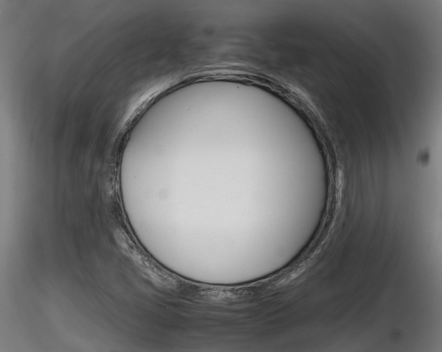 X0000116461405200912090916