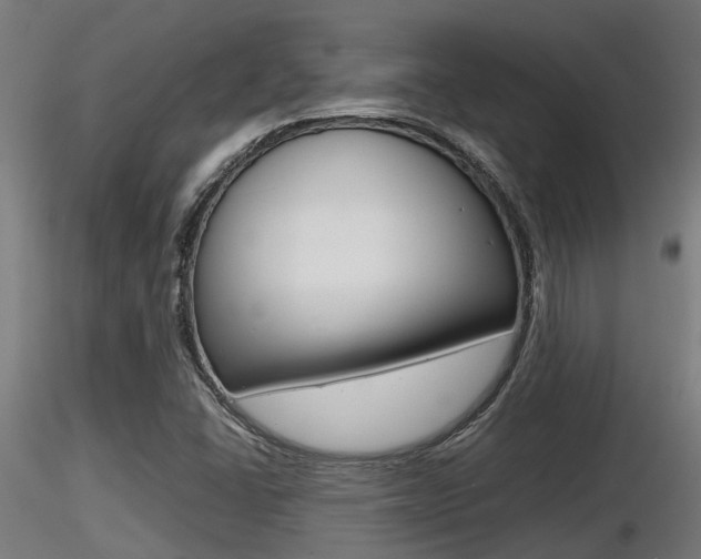 X0000116461406200912090916