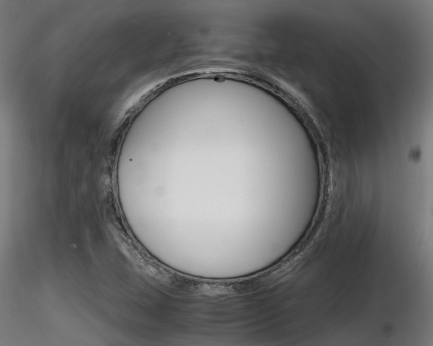 X0000116461407200912090916