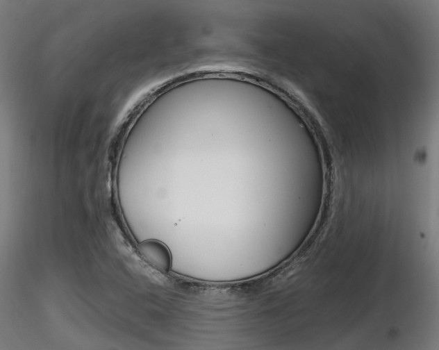 X0000116461408200912090916