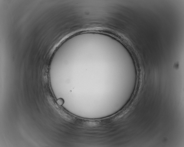 X0000116461409200912090916