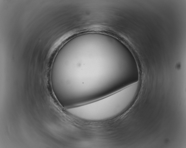 X0000116461410200912090916