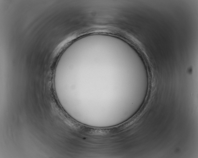 X0000116461411200912090916