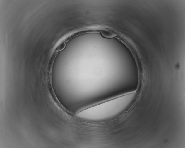 X0000116461412200912090916