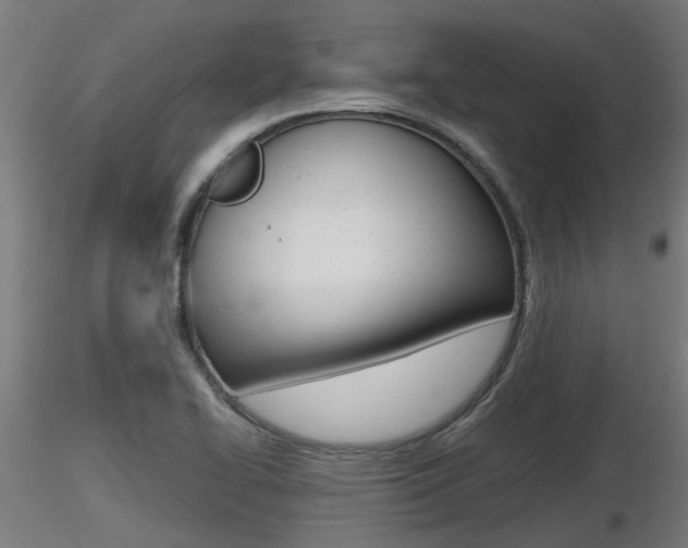 X0000116461414200912090917