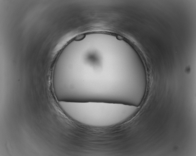 X0000116461415200912090917