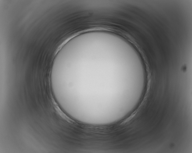 X0000116461417200912090917