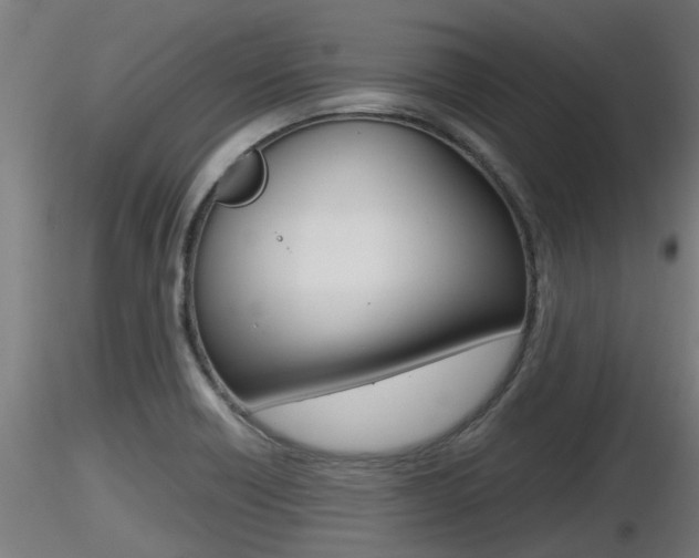 X0000116461418200912090917