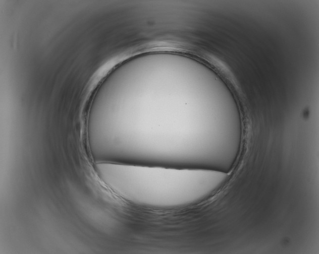 X0000116461419200912090917