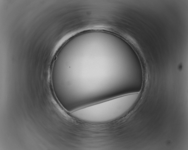 X0000116461420200912090917