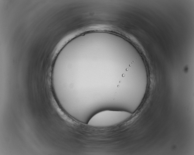 X0000116461421200912090917