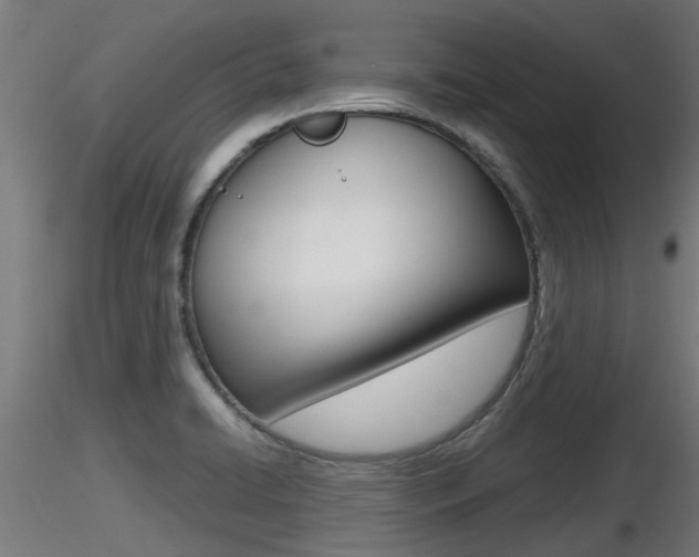 X0000116461422200912090917
