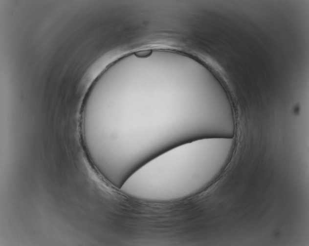 X0000116461423200912090917