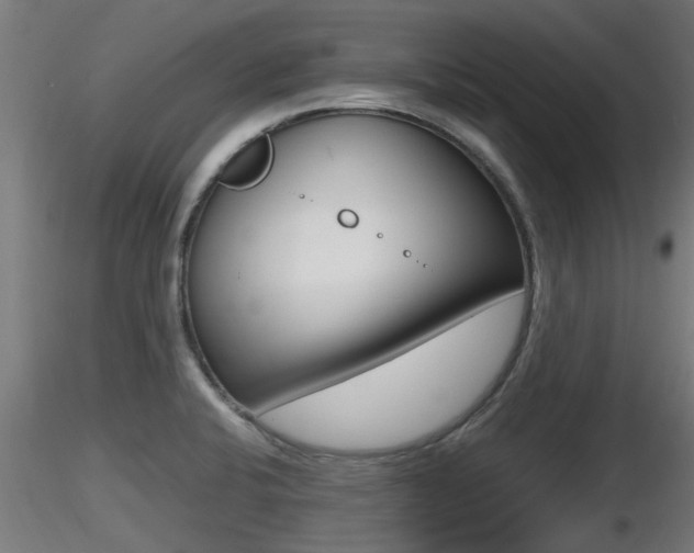 X0000116461424200912090917