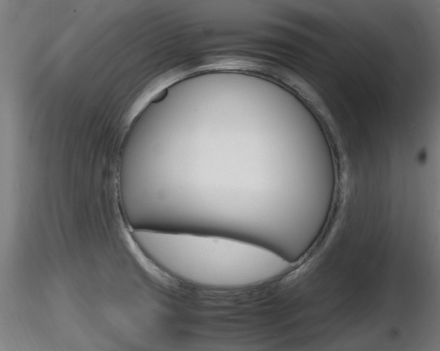 X0000116461425200912090917