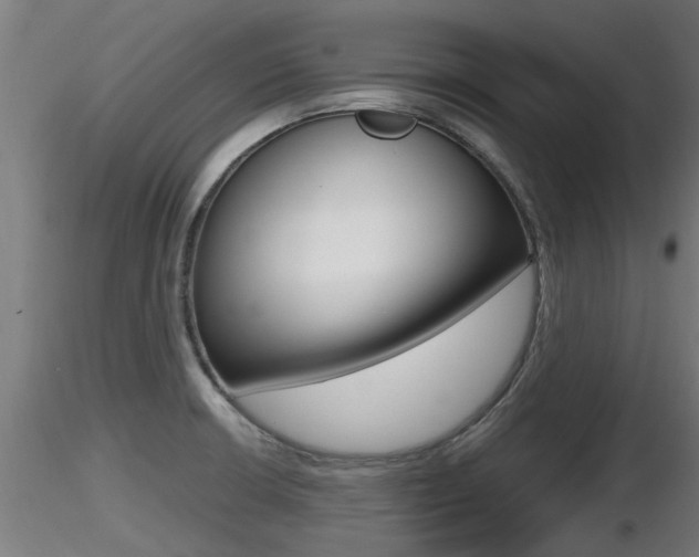 X0000116461426200912090917