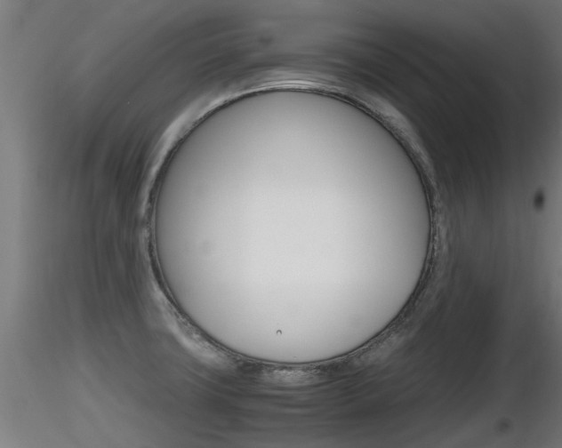 X0000116461427200912090917