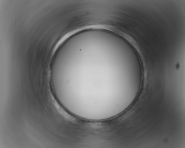 X0000116461428200912090917