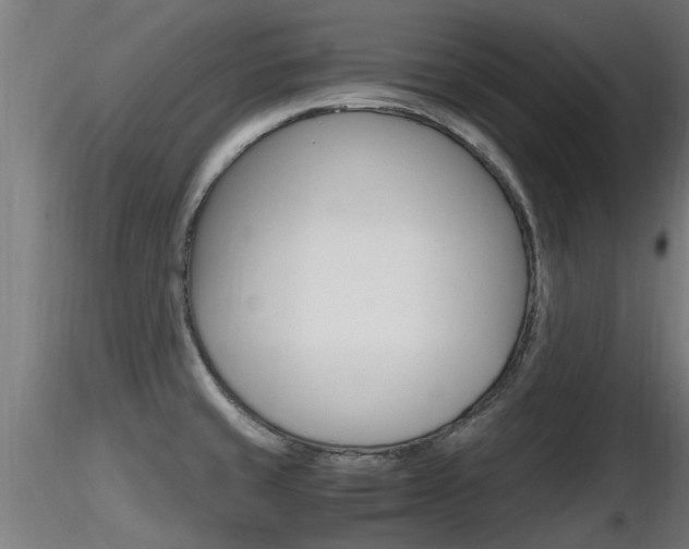 X0000116461429200912090917