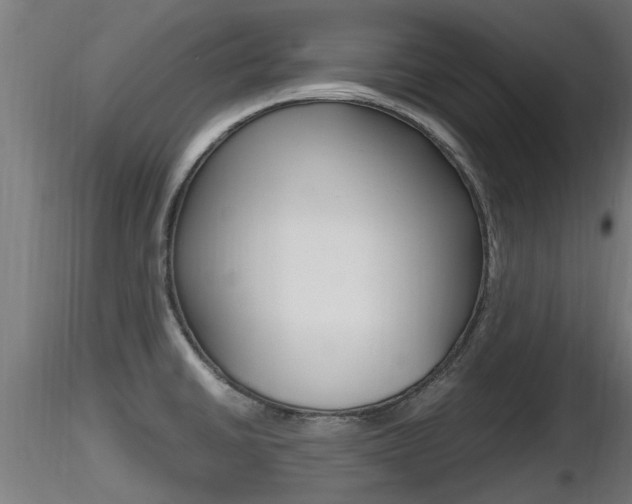 X0000116461430200912090917