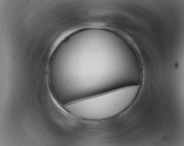 X0000116461432200912090917