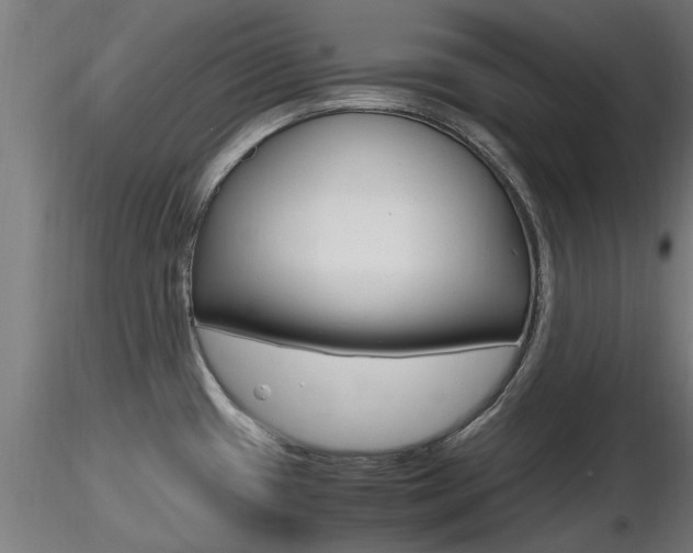 X0000116461433200912090917
