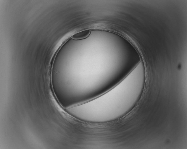 X0000116461434200912090917