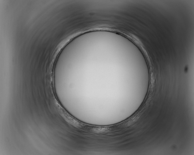 X0000116461435200912090917