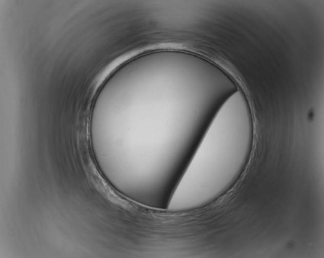X0000116461436200912090917