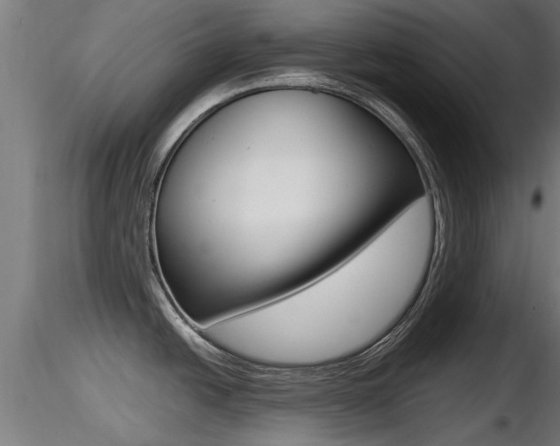 X0000116461438200912090917