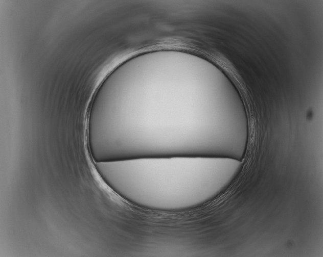 X0000116461439200912090917