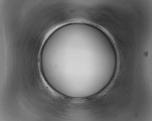X0000116461440200912090917