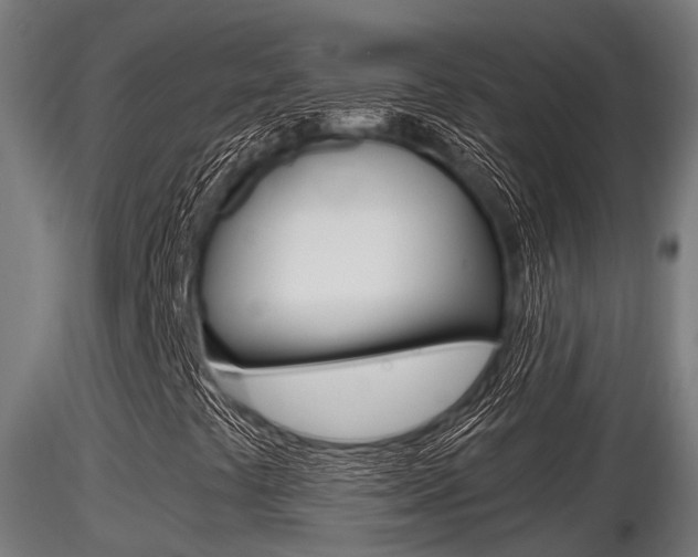 X0000116461441200912090916