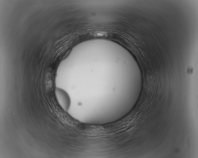 X0000116461442200912090916