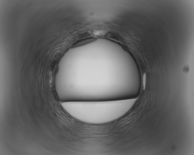 X0000116461443200912090916