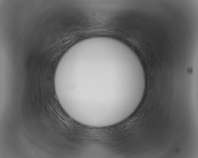 X0000116461444200912090916