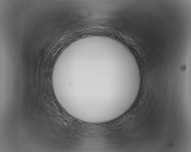 X0000116461445200912090916