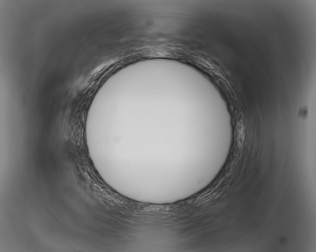 X0000116461446200912090916