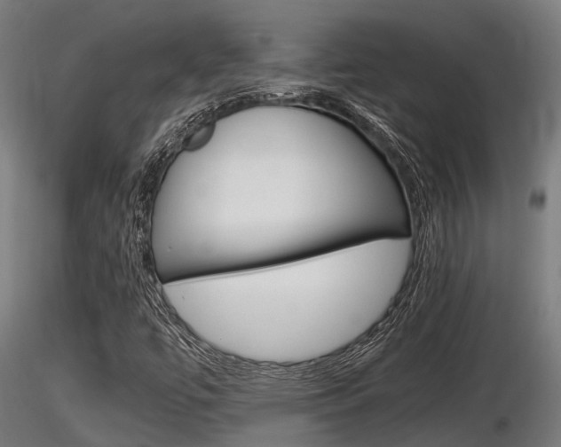 X0000116461447200912090916