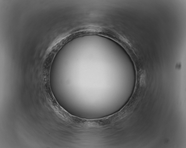 X0000116461448200912090916