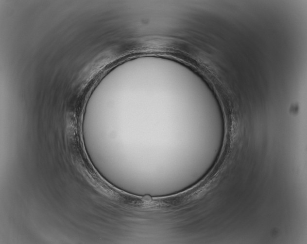 X0000116461449200912090916