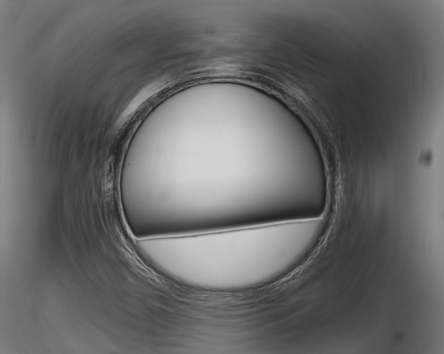 X0000116461450200912090916