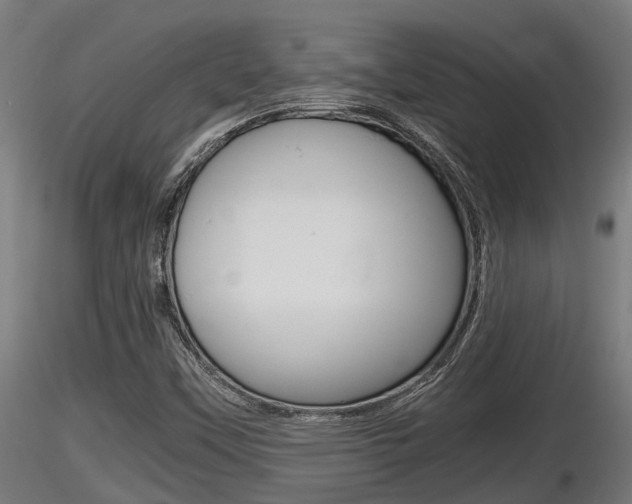 X0000116461451200912090916