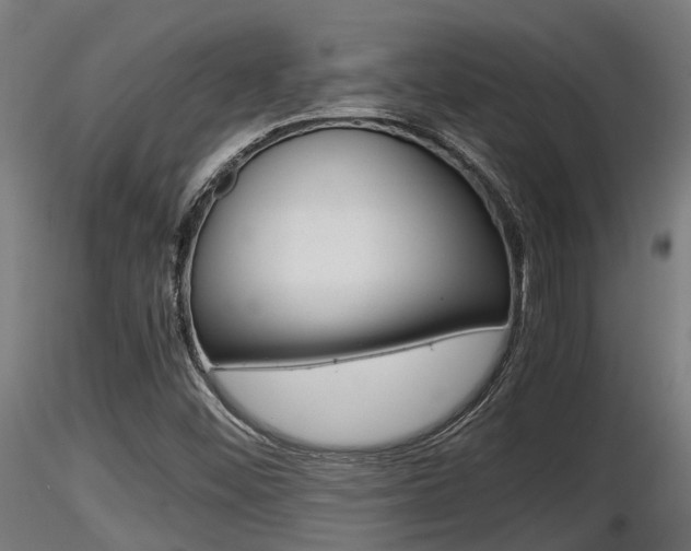 X0000116461452200912090916