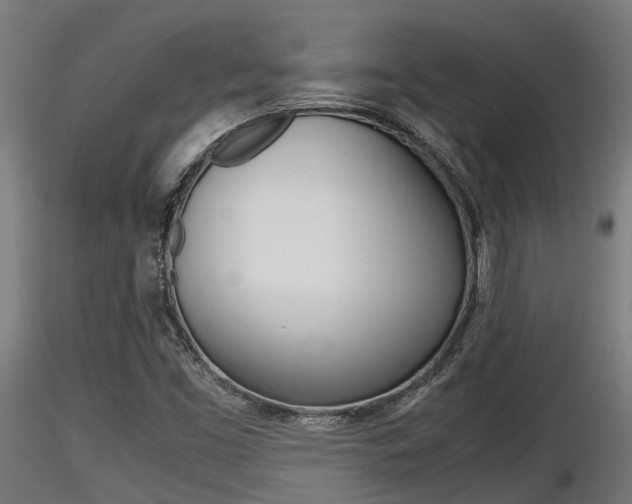 X0000116461453200912090916
