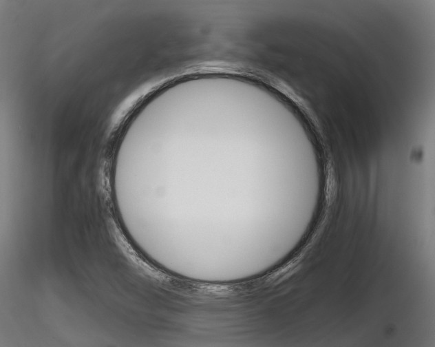 X0000116461454200912090916