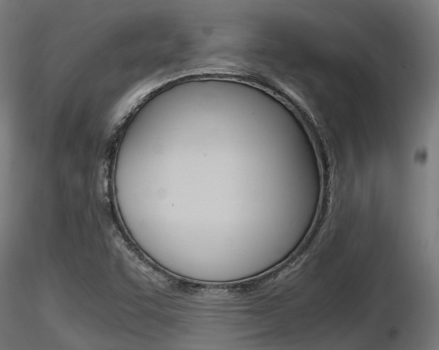 X0000116461455200912090916