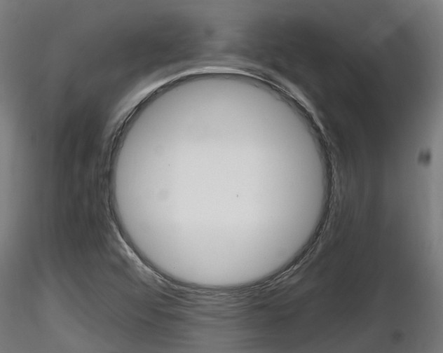 X0000116461456200912090916